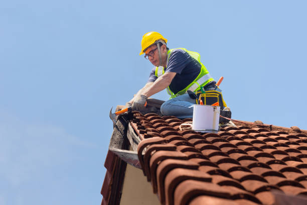 Best Steel Roofing  in Justin, TX